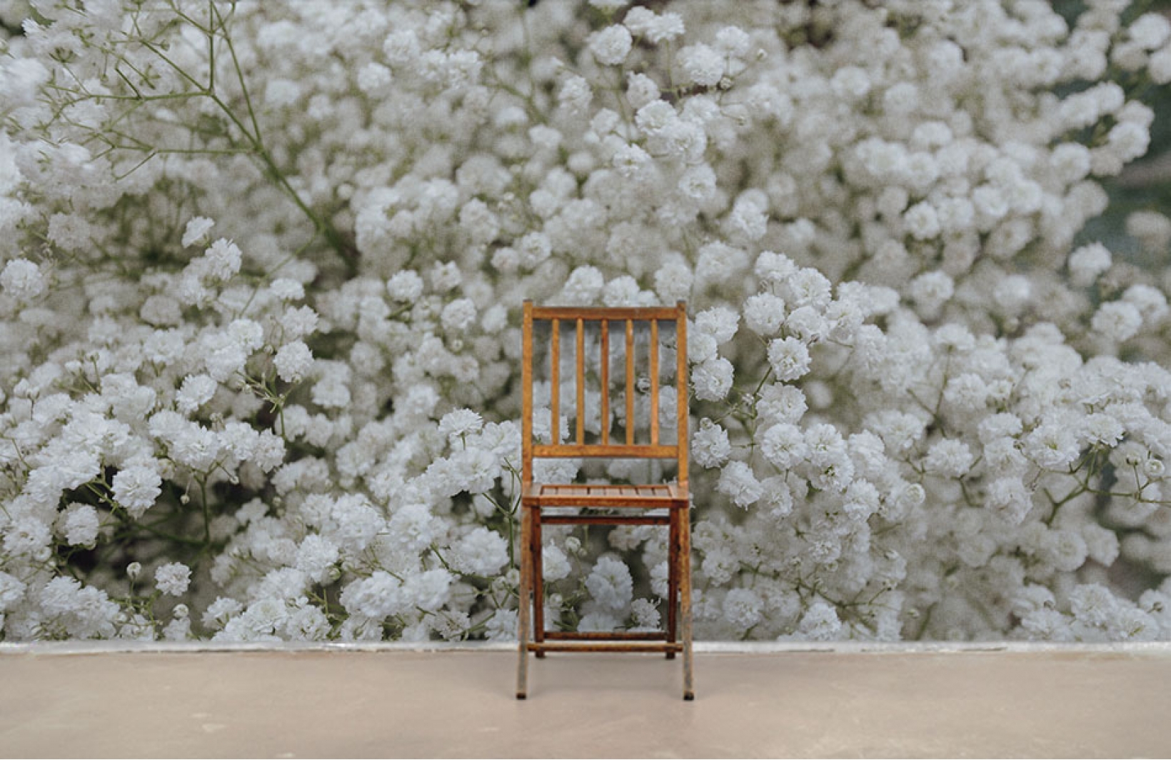 Вдохновляющие фотообои с белыми цветами гипсофилы Узоры на Стене