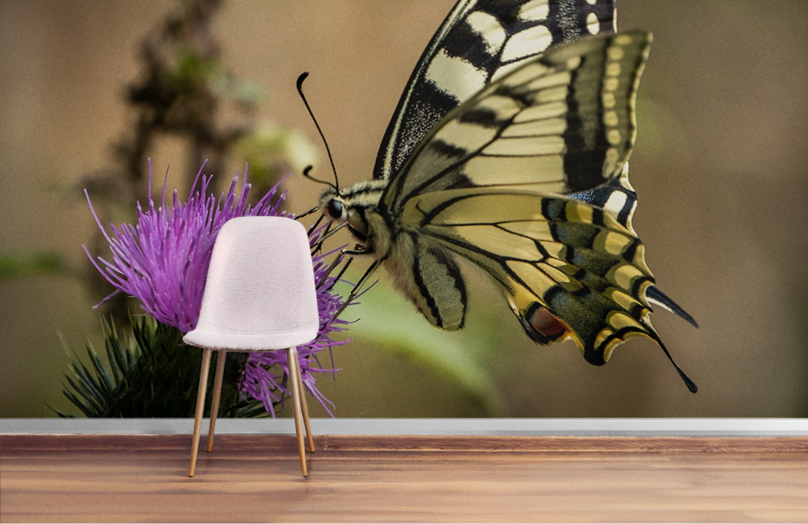 Летние фотообои на кухню с бабочкой крупным планом на фото Узоры на Стене