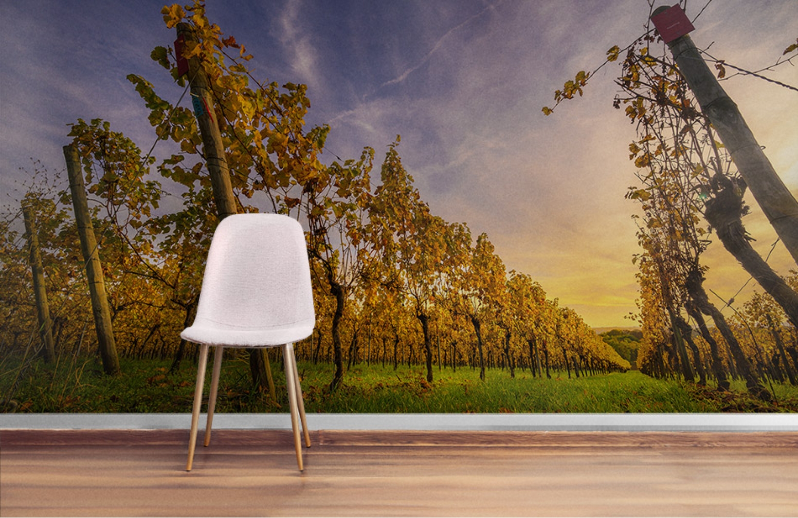 Фотообои с рядами винограда увеличивающие пространство Узоры на Стене
