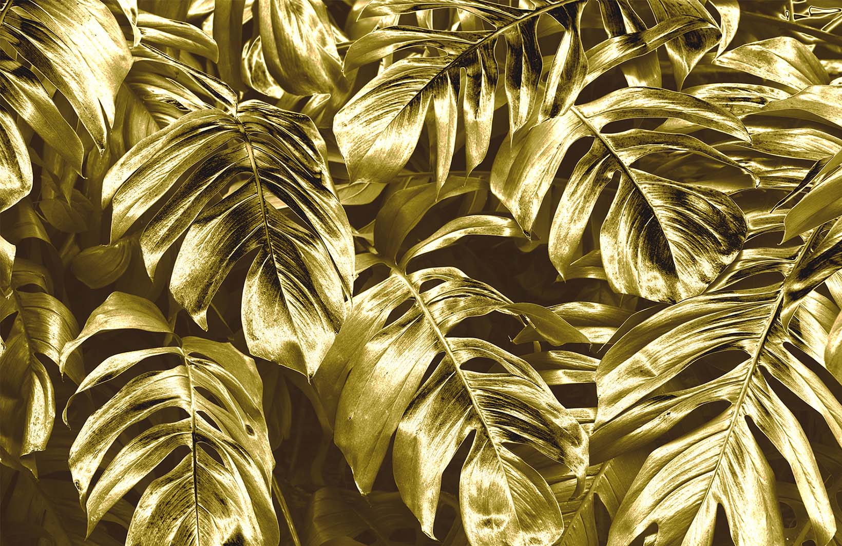 Роскошные фотообои с тропическими листьями в золоте Узоры на Стене