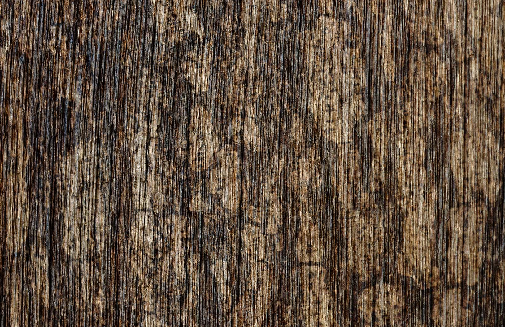 Теплые фотообои с деревянной фактурой для уютной стены Узоры на Стене