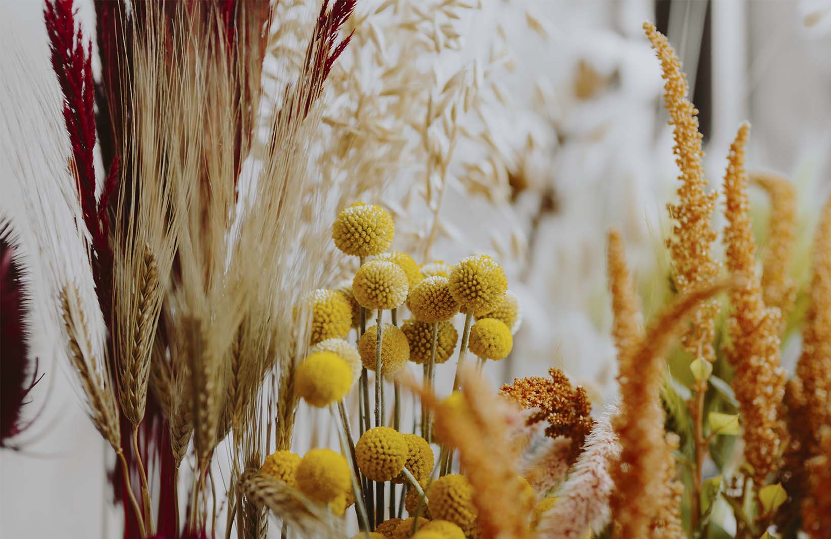 Шикарные фотообои с необычными солнечными растениями Узоры на Стене