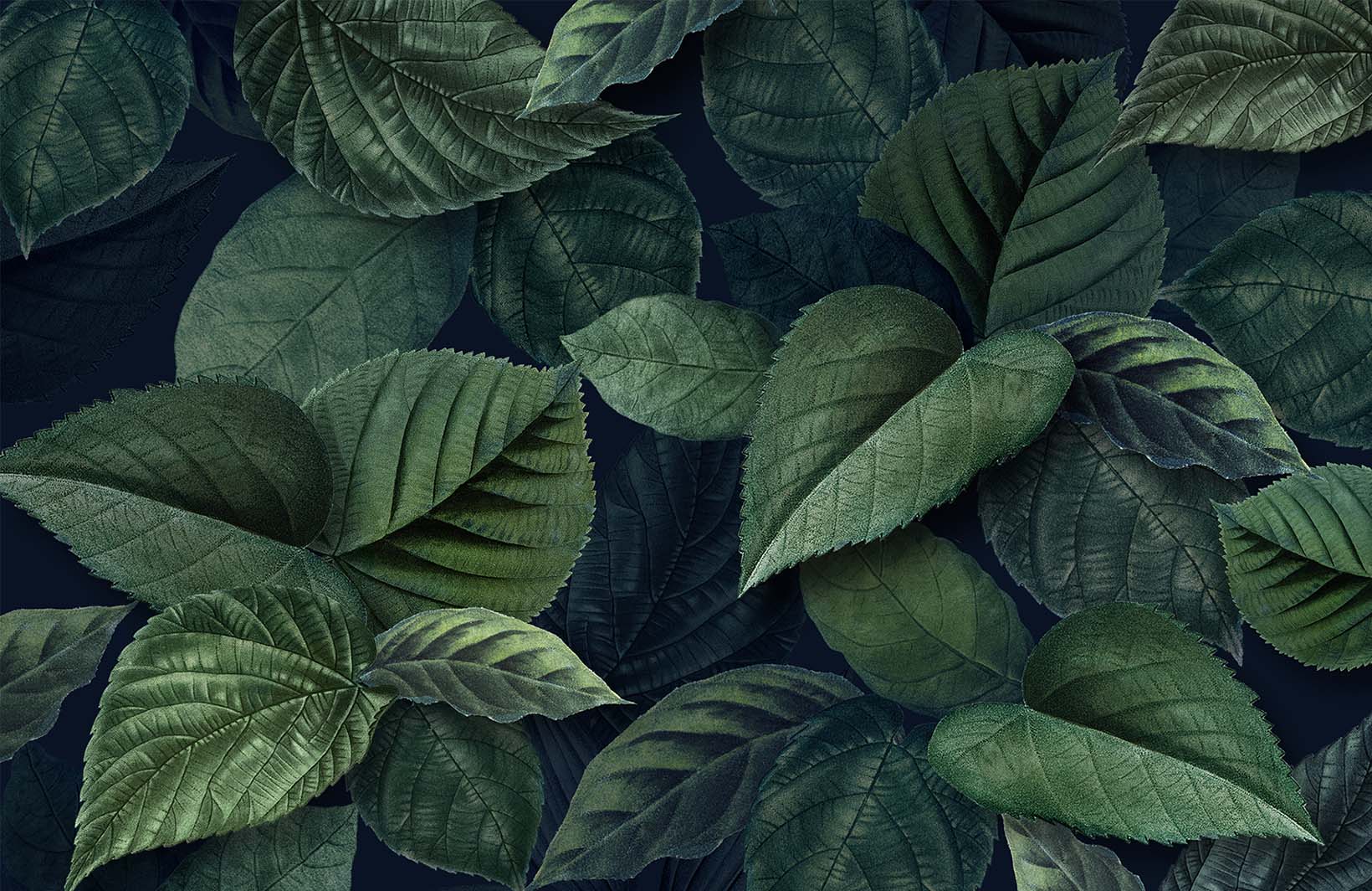 Фотообои в прихожую с насыщенно-зелеными листьями на фото Узоры на Стене