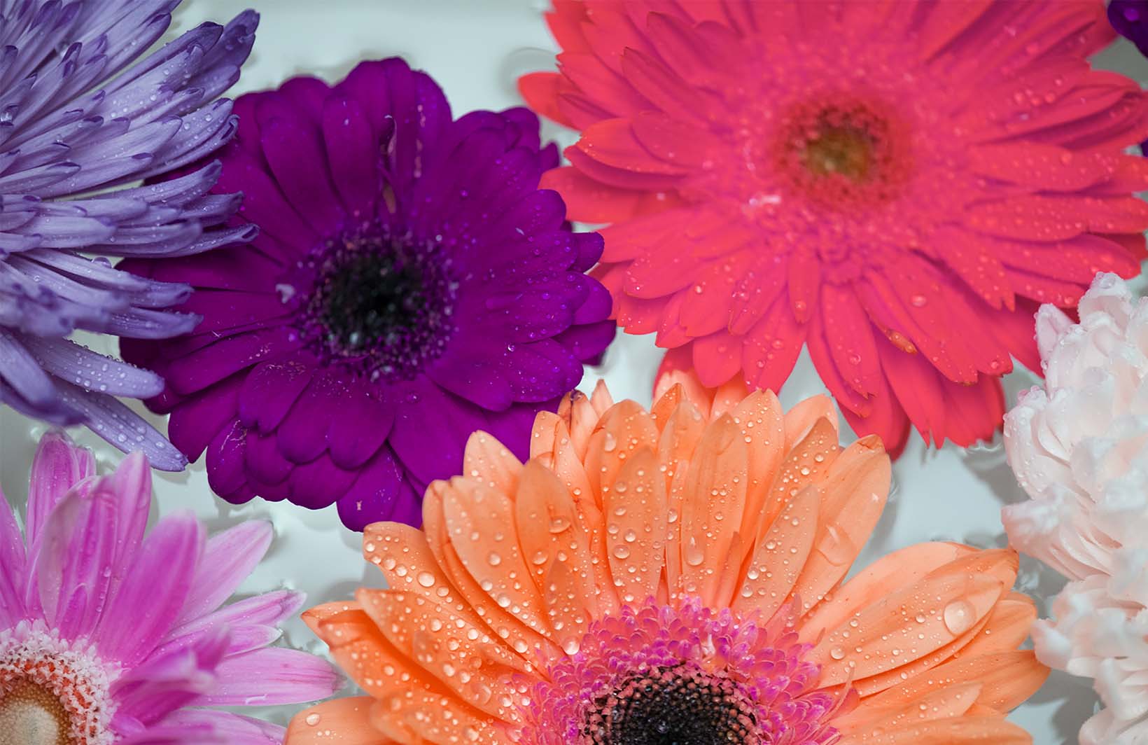 Позитивные фотообои с яркими цветами для гостиной Узоры на Стене