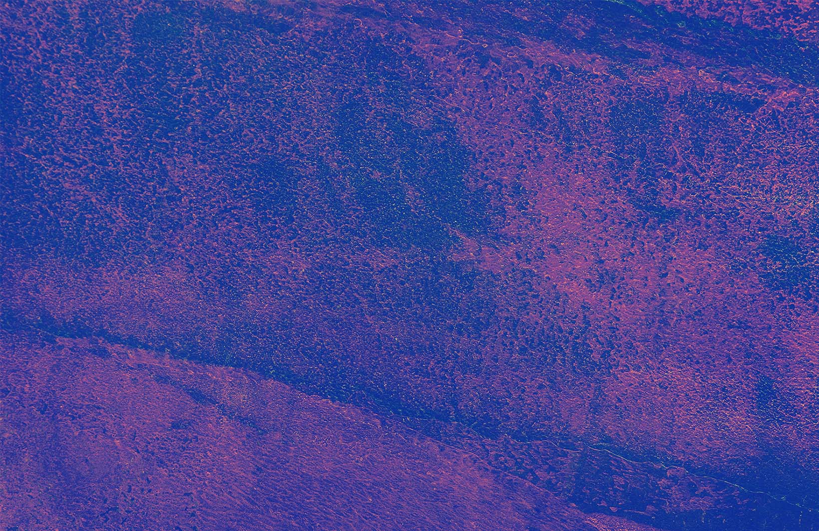 Яркие трендовые фотообои в пурпурных и розовых тонах для молодежного интерьера Узоры на Стене