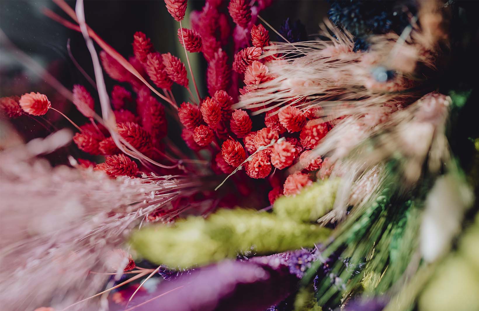 Уютные фотообои с красивыми сухоцветами Узоры на Стене