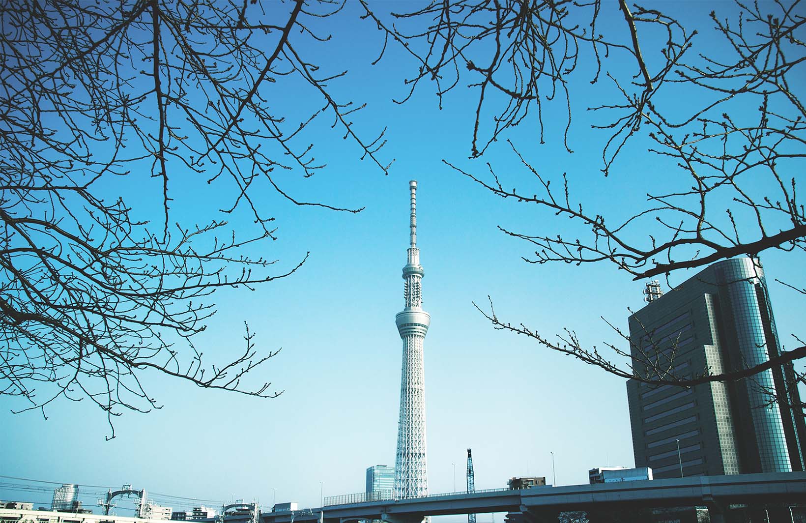 Городские пейзажи на фотообоях с телебашней в Токио Узоры на Стене