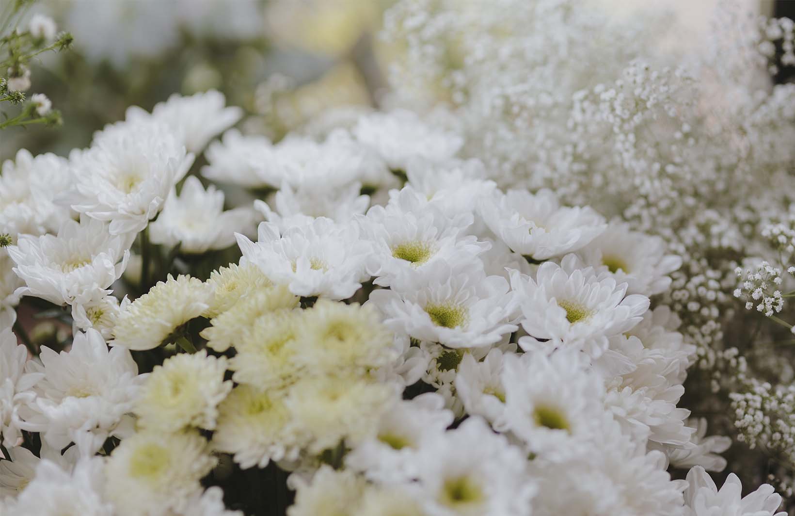 Фотообои с белоснежным свадебным букетом Узоры на Стене