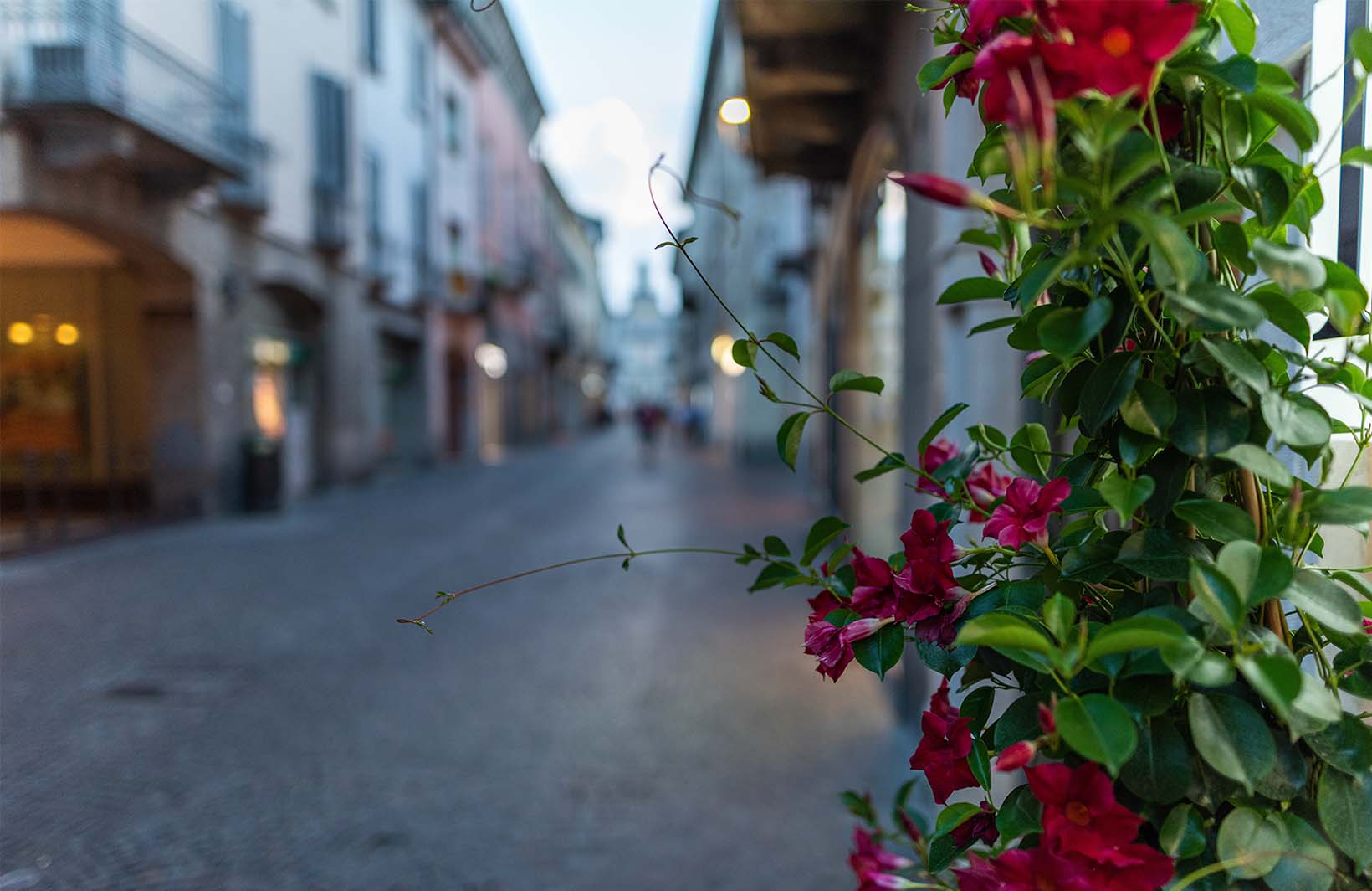 Фотообои с цветами и вечерней уютной улицей Узоры на Стене