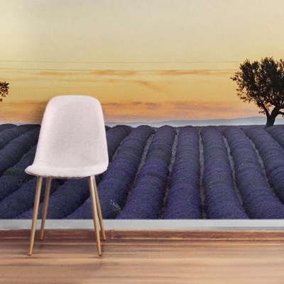  Фотообои с лавандовым полем на закате  Узоры на Стене