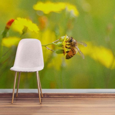  Вдохновляющие теплые фотообои с пчелкой в спальню над кроватью  Узоры на Стене