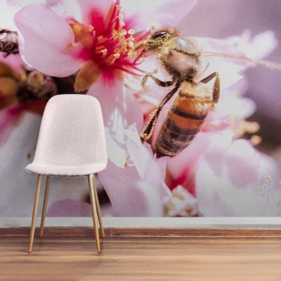  Весенние фотообои с пчелой, пьющей цветочный нектар   Узоры на Стене