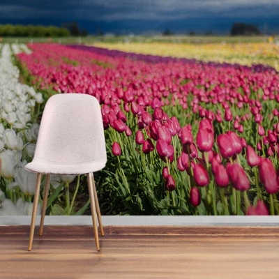  Вдохновляющие фотообои 3д с яркими тюльпанами для спальни  Узоры на Стене